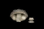 statue en buste, image 4/4