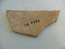 amphore, image 2/2