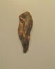 applique de vase, image 1/2