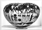 dinos, image 10/13