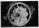 coupe, image 3/4