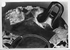 coupe, image 7/7