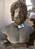 Tirage d'un buste d'Asclépios (Esculape), image 6/6