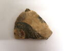 vase fermé, image 1/2