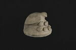 couvercle d'urne, image 3/9