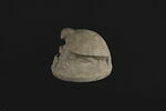 couvercle d'urne, image 4/9