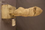 statuette, image 5/5