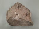 chapiteau, image 1/3