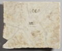inscription, image 2/2