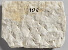 inscription, image 2/2