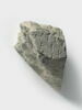 cippe ; inscription, image 2/4