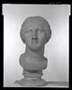 statue, image 5/5