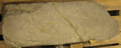 inscription ; base de statue, image 3/3
