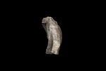 statue en buste, image 3/4