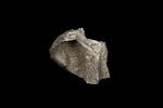 statue en buste, image 4/4