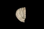 statue en buste, image 1/2