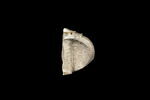statue en buste, image 2/2