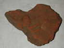 sima, image 1/2