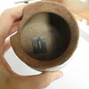 pot, image 3/6