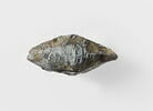 balle de fronde, image 1/2