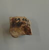 applique de vase, image 2/2