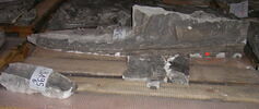 Fragment de tirage d'une plaque de la colonne Trajane, image 2/2