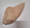 inscription, image 1/2