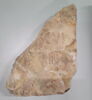 inscription, image 1/2