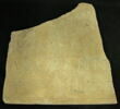 inscription, image 1/2