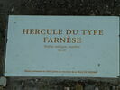 Hercule Farnèse, image 2/3