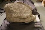 statue, image 2/2