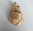 applique de vase, image 1/2