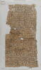 Papyrus, image 1/2
