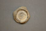 Fragment de la panse et de la base du vase, image 2/2