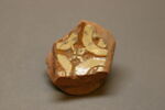 Fragment de coupe, image 1/2