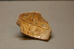 Fragment de coupelle, image 1/2