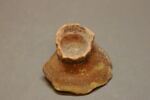 Fragment de coupe, image 2/2