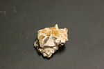 Fragment de mosaïque, image 1/2