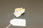 Fragment de mosaïque, image 2/2