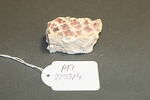 Fragment de mosaïque, image 2/2