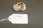 Fragment de mosaïque, image 2/2