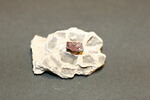 Fragment de mosaïque, image 1/2