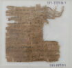 Papyrus, image 1/2