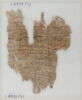 Papyrus, image 1/2