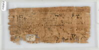 Papyrus, image 2/2