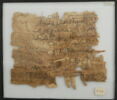 Papyrus, image 2/2