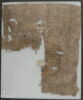 Papyrus, image 1/2