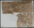 Papyrus, image 2/2