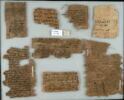 Papyrus, image 1/2