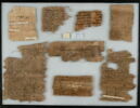 Papyrus, image 2/2